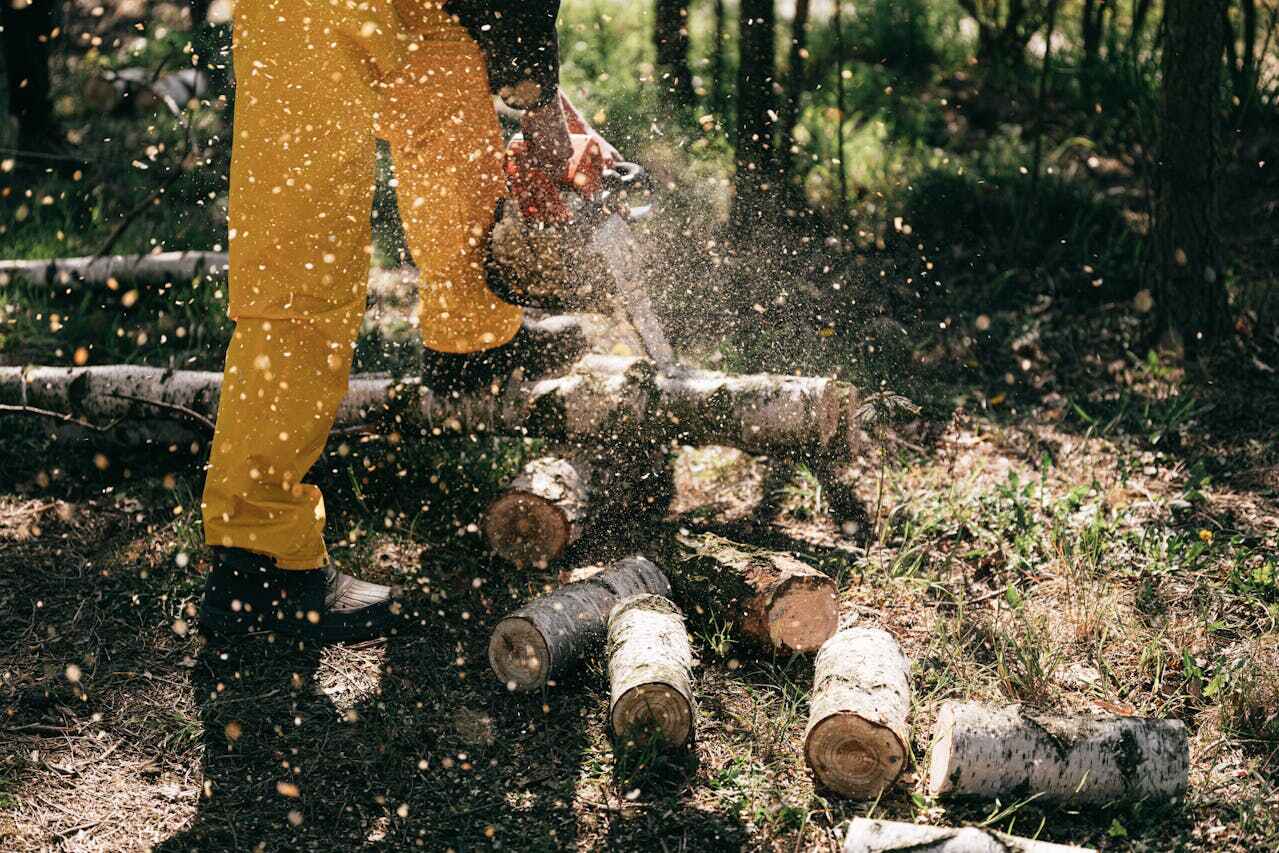 Malakoff, TX Tree Service Company